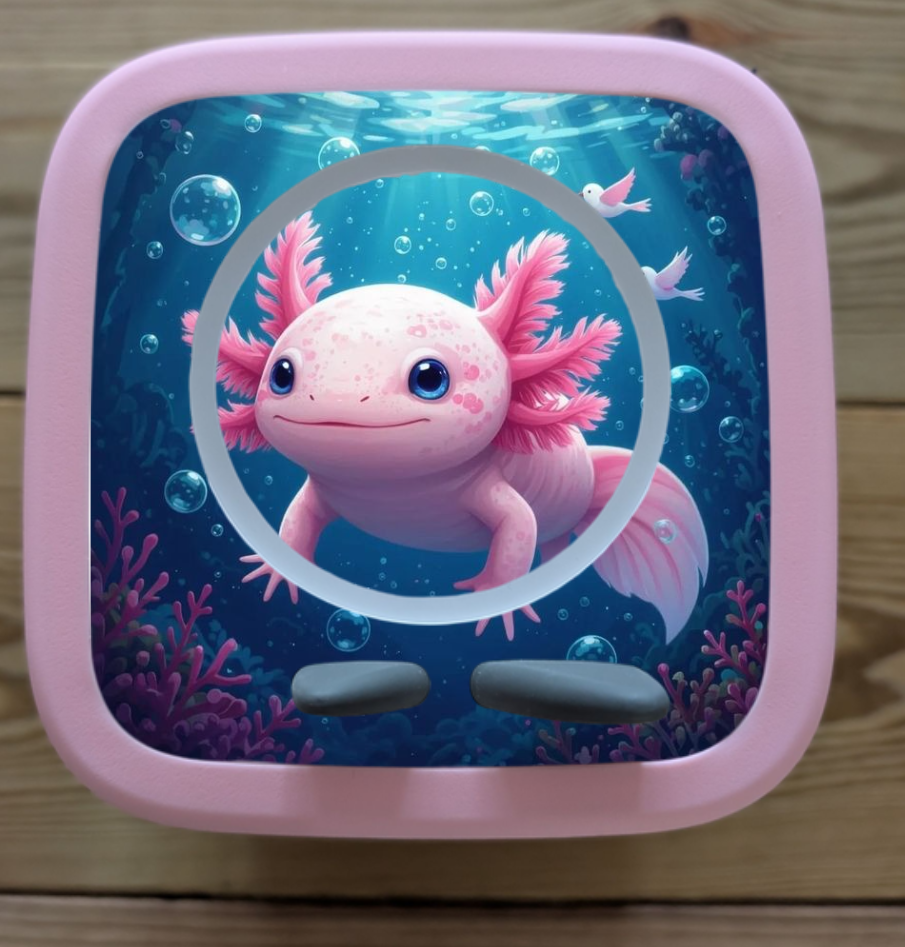 Personalised Tonie box 2 protective Topper / Axolotl